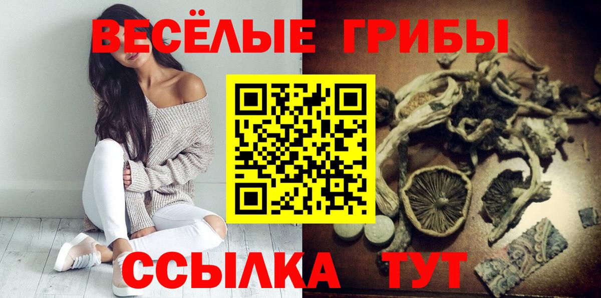 купить наркоту  Псилоцибиновые грибы мухоморы  Вход с VPN  Буйнакск 